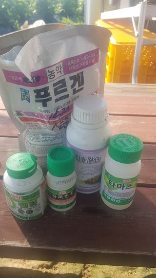 최춘득 청대산 님의 참깨 · 영농일지 작성글 사진