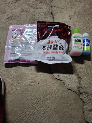 흑포님의 사과 · 영농일지 작성글 사진