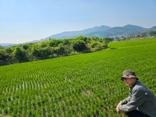 넥스젠님의 벼 · 영농일지 작성글 사진