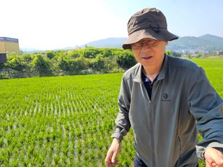 넥스젠님의 벼 · 영농일지 작성글 사진