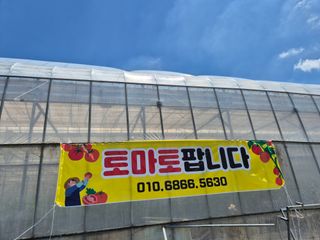 늘햇살팜 님의 기타작물 · 영농일지 작성글 사진
