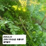 시민농장님의 작성글 사진