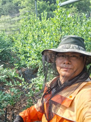 황인근님의 블루베리 · 영농일지 작성글 사진