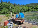 최미선님의 작성글 사진