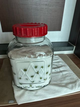 이익수님의 기타작물 · 영농일지 작성글 사진