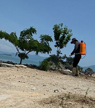 최강K님의 기타작물 · 영농일지 작성글 사진