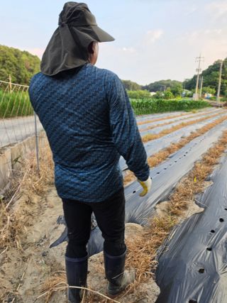 백운농원 님의 기타작물 · 영농일지 작성글 사진