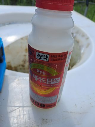 신안백수님의 기타작물 · 영농일지 작성글 사진