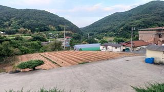 이순기님의 고추 · 영농일지 작성글 사진