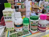 팜모닝 기타작물·영농일지 게시글 이미지