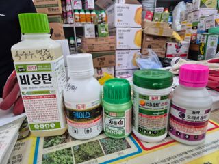 중청3595님의 기타작물 · 영농일지 작성글 사진