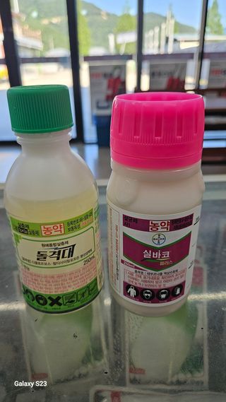 더 드림 농원님의 포도 · 영농일지 작성글 사진