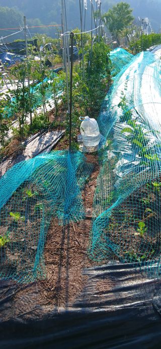 정연섭님의 기타작물 · 영농일지 작성글 사진