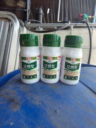 박기석님의 기타작물 · 영농일지 작성글 사진