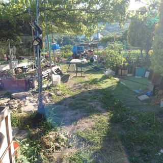 正覺님의 기타작물 · 영농일지 작성글 사진