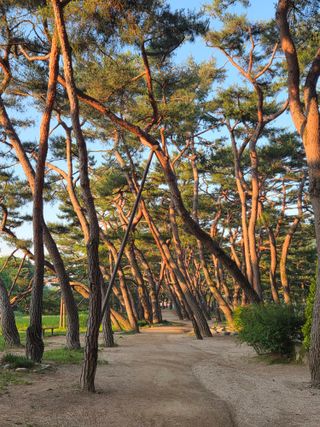 벽양님의 기타작물 · 영농일지 작성글 사진