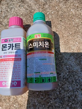 최유순님의 기타작물 · 영농일지 작성글 사진
