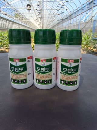 박기석님의 기타작물 · 영농일지 작성글 사진