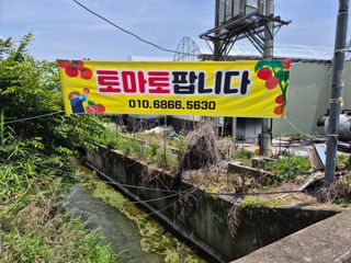 늘햇살팜 님의 기타작물 · 영농일지 작성글 사진