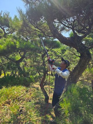 상추22033님의 기타작물 · 영농일지 작성글 사진