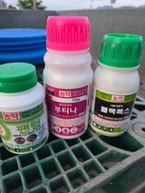 팜모닝 기타작물·영농일지 게시글 이미지