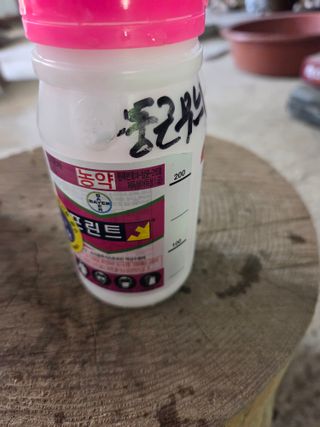임훈택 님의 감 · 영농일지 작성글 사진