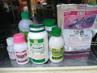 노영성님의 자두 · 영농일지 작성글 사진