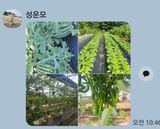 팜모닝 기타작물·영농일지 게시글 이미지