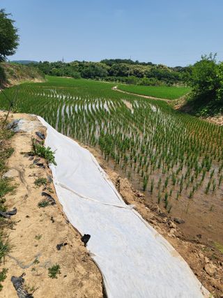 최병우님의 벼 · 영농일지 작성글 사진