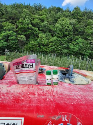 블루베리19036님의 기타작물 · 영농일지 작성글 사진