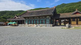 대박농장신초시님의 기타작물 · 영농일지 작성글 사진