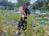 발해인님의 작성글 사진