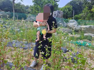 발해인님의 기타작물 · 영농일지 작성글 사진