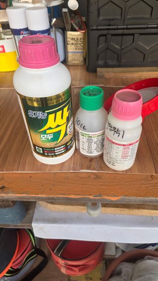 가야산아래촌농님의 기타작물 · 영농일지 작성글 사진