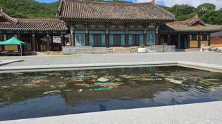 대박농장신초시님의 기타작물 · 영농일지 작성글 사진