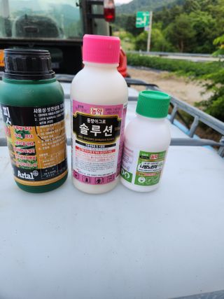 정진용님의 오이 · 영농일지 작성글 사진