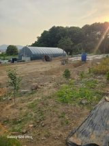 팜모닝 매실·영농일지 게시글 이미지