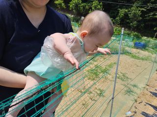 발해인님의 작성글 사진