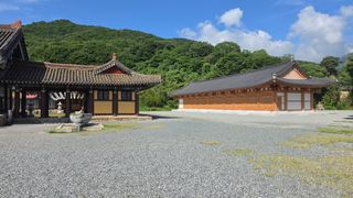 대박농장신초시님의 기타작물 · 영농일지 작성글 사진