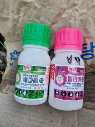 매실향기차향기님의 기타작물 · 영농일지 작성글 사진