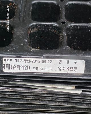박용열조물주님 님의 기타작물 · 영농일지 작성글 사진