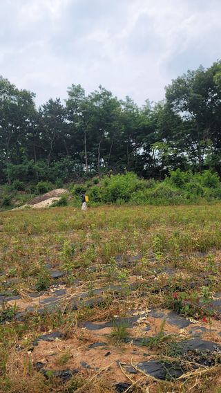 서초농원님의 기타작물 · 영농일지 작성글 사진
