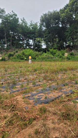 서초농원님의 기타작물 · 영농일지 작성글 사진
