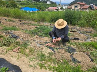 최성욱님의 작성글 사진