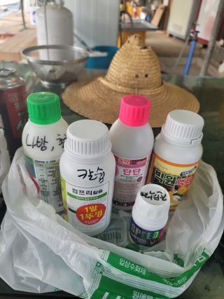 왕초보농부 이금녀님의 기타작물 · 영농일지 작성글 사진