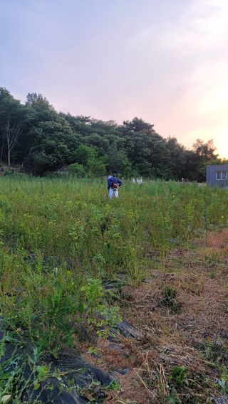 서초농원님의 기타작물 · 영농일지 작성글 사진