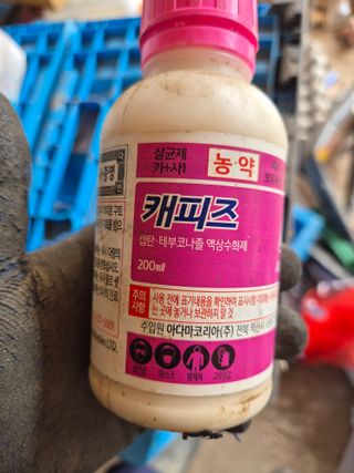 박웅길님의 고추 · 영농일지 작성글 사진