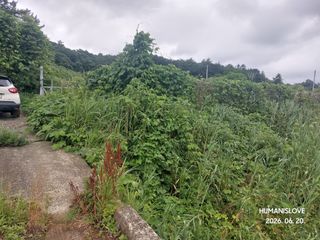 김건형님의 기타작물 · 영농일지 작성글 사진