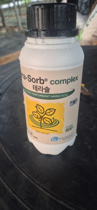 안정옥님의 작성글 사진