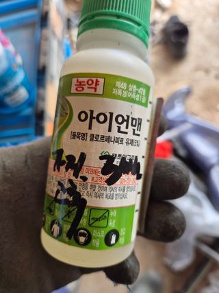 박웅길님의 고추 · 영농일지 작성글 사진